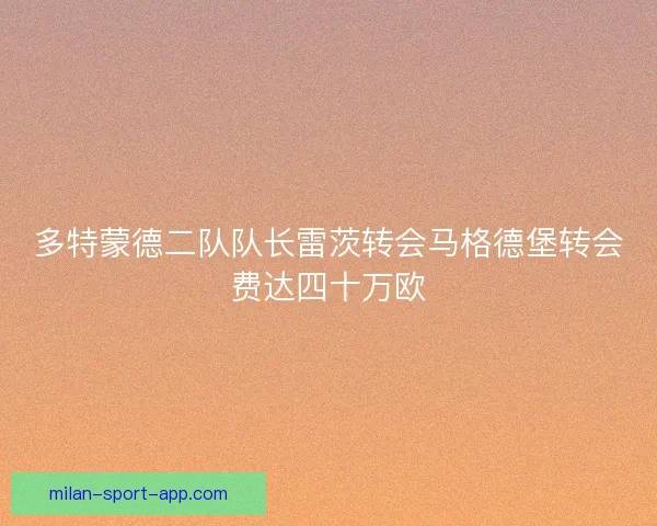 多特蒙德二队队长雷茨转会马格德堡转会费达四十万欧